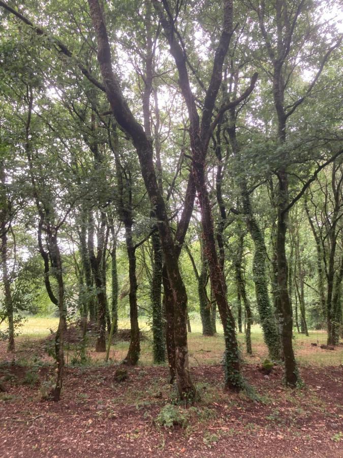 Camping Vila De Sarria Ngoại thất bức ảnh