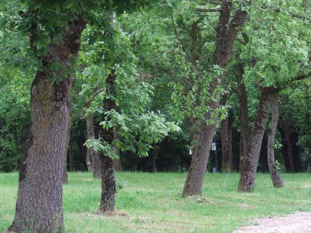 Camping Vila De Sarria Ngoại thất bức ảnh